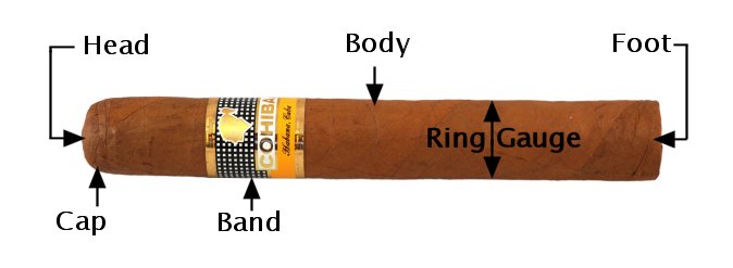Cigar anatomy or parts identified