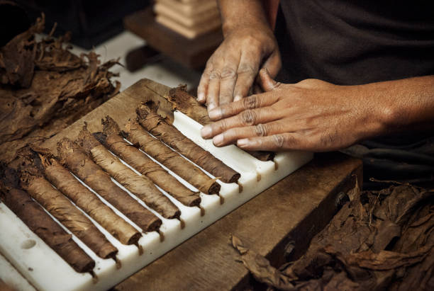 Rolled cigars - hand made cigars, totalmente a mano