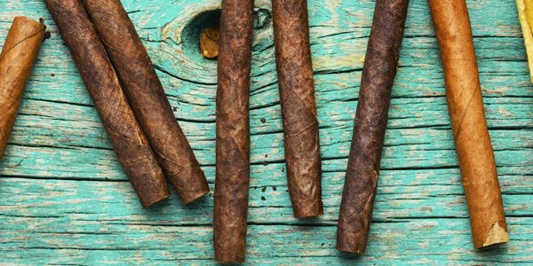 cheroot cigars